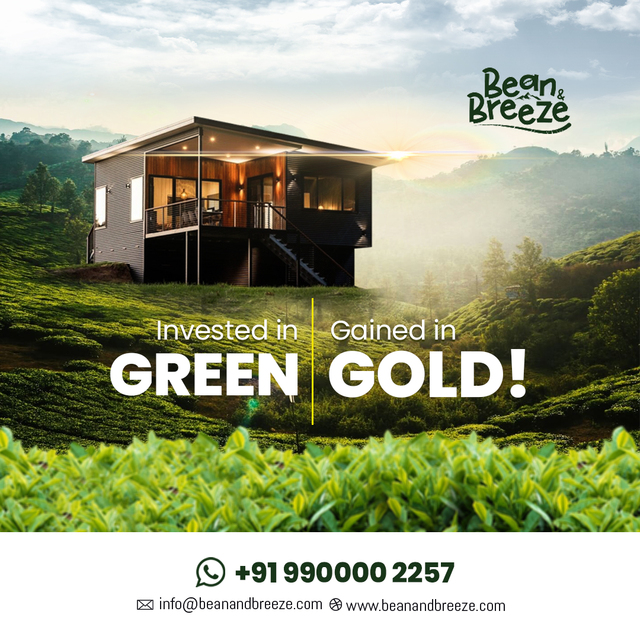 Managed Coffee estates Wayanad Picture Box