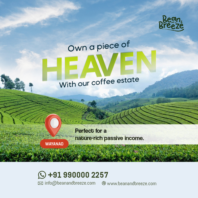 Farm land Wayanad Picture Box