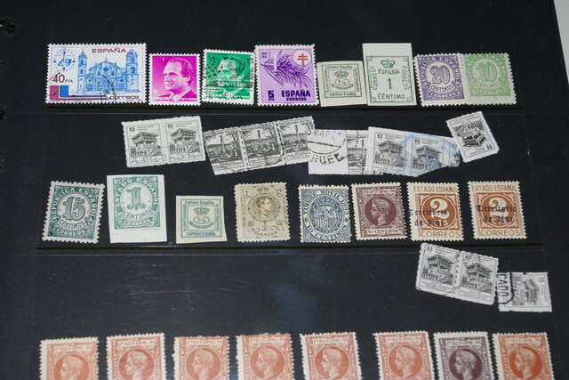 IMGP5093 Spanien +S countries melynas albumas