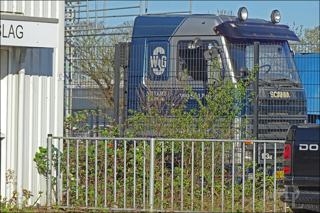 WG Salari Scania 113 Truckfoto's