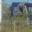 WG Salari Scania 113 - Truckfoto's