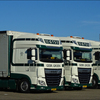 Gebr Groen Steenwijk DAF XF... - Truckfoto's