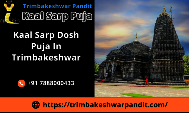Kaal Sarp Dosh Puja In Trimbakeshwar (3) Picture Box