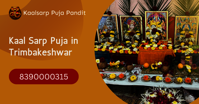 kaalsarppujapandit-image Kaal Sarp Puja in Trimbakeshwar by Pandit Sunil Tiwari Guruji