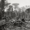 20224 Serie MI-1117 Tweede ... - AR-P027 20161 en 20224 Cees...
