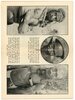 Meuwese MSC-006 - AR-P027 20161 en 20224 Cees...