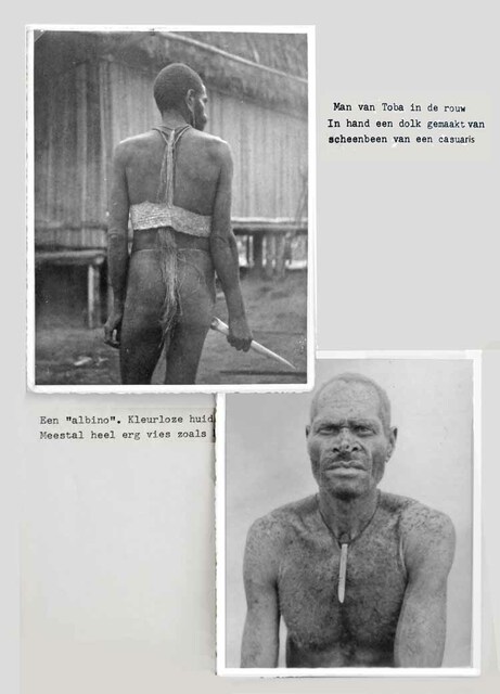 DSC08143b 20161 Man van Toba in de rouw - Albino m AR-P027 20161 en 20224 Cees Meuwese