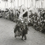 20213 Serie BI-367 De honde... - AR-P027 20213 t/m 20218  Jan Boelaars