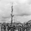 20213 Serie BI-655 Mastklim... - AR-P027 20213 t/m 20218  Jan Boelaars