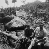 20215 Serie BIII-1610 Papua... - AR-P027 20213 t/m 20218  Ja...