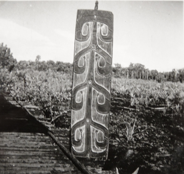 20215 Serie BIII-1879 Asmat schilden - kopie AR-P027 20213 t/m 20218  Jan Boelaars