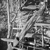 20215 Serie BIII-1957 Trapk... - AR-P027 20213 t/m 20218  Ja...