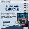 Drupal Web Development serv... - Picture Box