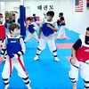 Kids Taekwondo Classes - Elite-Pro Martial Arts