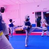 Martial Arts Classes - Elite-Pro Martial Arts
