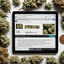 a clean bright overhead fla... - Hypno seeds