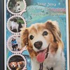 20250602 184015 - Norah