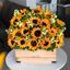 Florist Santo Domingo | sup... - Picture Box