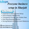 Free Zone Business Setup - pics