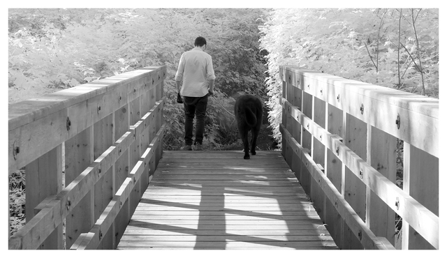 Dog Walker 2025 1 Infrared photography