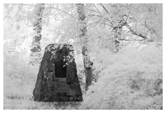 Mack Laing Park 2025 1 Infrared photography