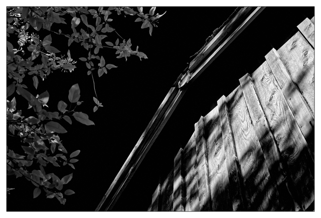 Abandoned 2025 5 Infrared photography