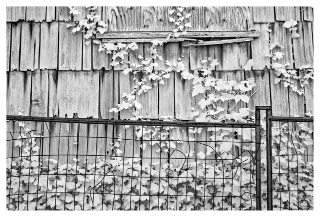Abandoned 2025 1 Infrared photography
