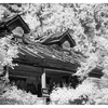 Abandoned 2025 2 - Infrared photography