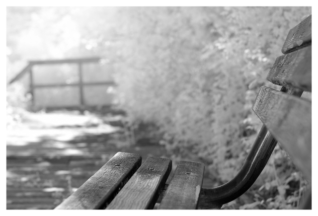 Bench 2025 1 Infrared photography