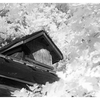 Abandoned 2025 3 - Infrared photography