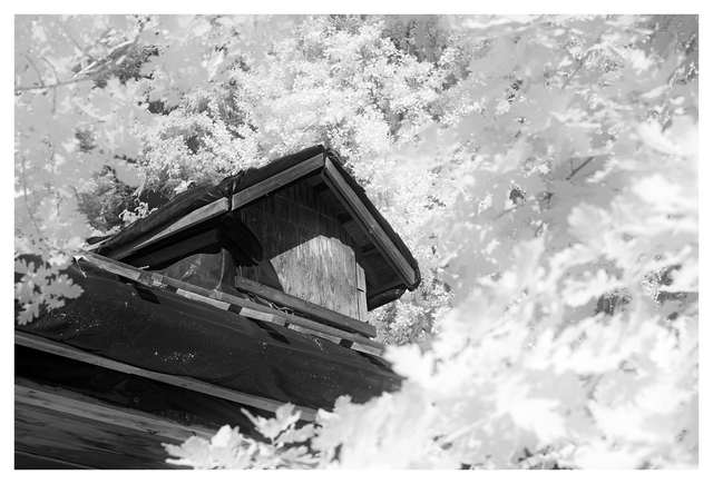 Abandoned 2025 3 Infrared photography