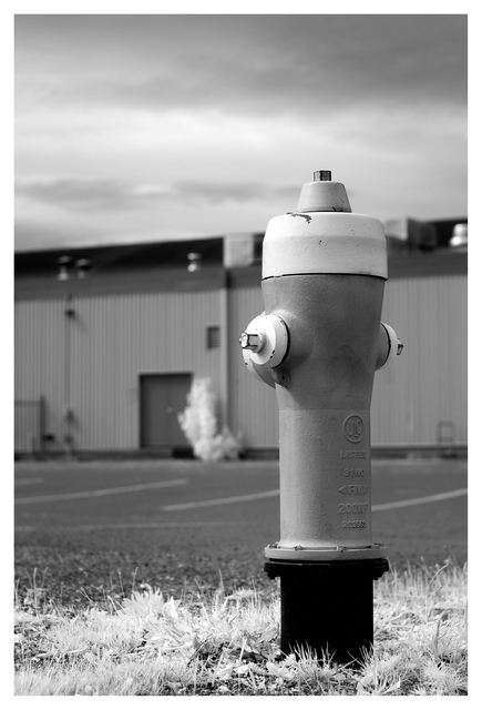 Hydrant 2025 1 Infrared photography