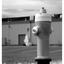 Hydrant 2025 1 - Infrared photography