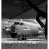 Comox Heritage Airpark 2025 27 - Infrared photography