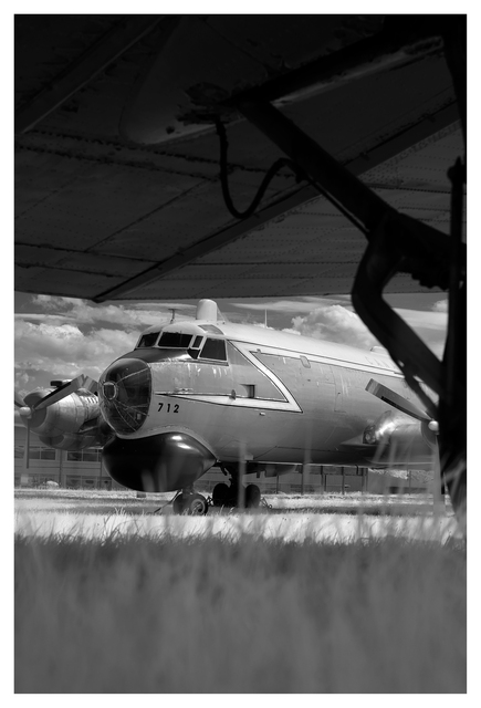 Comox Heritage Airpark 2025 27 Infrared photography