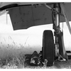 Comox Heritage Airpark 2025 25 - Infrared photography