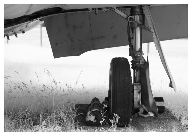 Comox Heritage Airpark 2025 25 Infrared photography