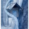 Infrared forest 2025  6 - Infrared photography