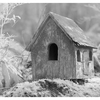 Infrared forest 2025  2 - Infrared photography