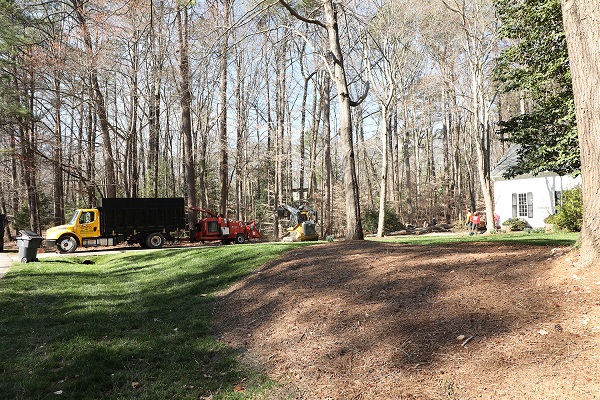 Commercial Tree Company Gonzalez Tree Pros & Crane, Inc