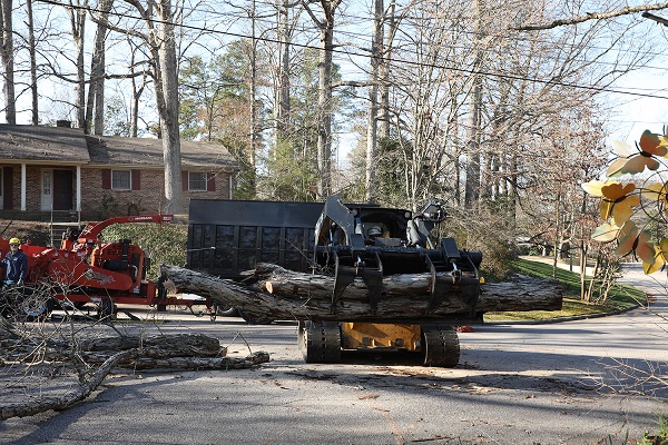 Emergency Tree Services Gonzalez Tree Pros & Crane, Inc