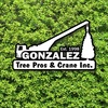 Local Tree Company - Gonzalez Tree Pros & Crane,...