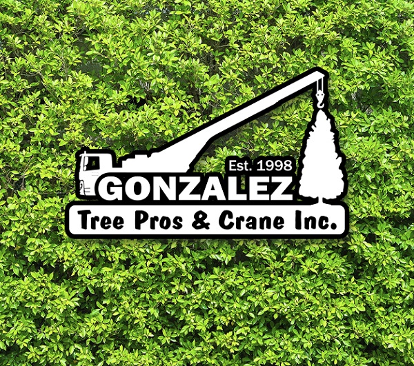 Local Tree Company Gonzalez Tree Pros & Crane, Inc