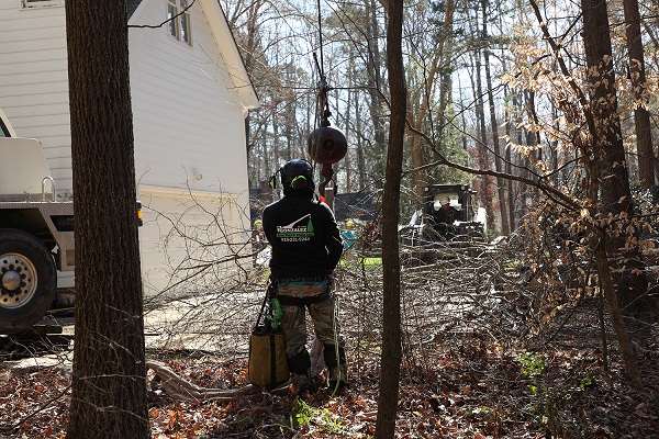 Lot Clearing Services Raleigh NC Gonzalez Tree Pros & Crane, Inc