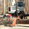 Stump Grinding Services Ral... - Gonzalez Tree Pros & Crane,...