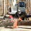 Stump Grinding Services Ral... - Gonzalez Tree Pros & Crane, Inc
