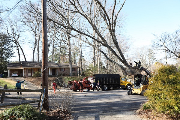 Stump Grinding Gonzalez Tree Pros & Crane, Inc