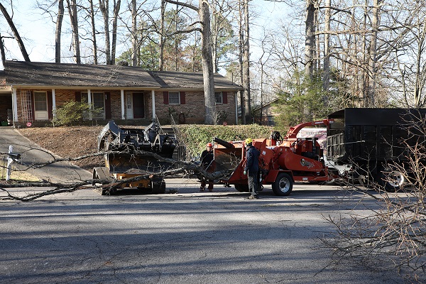 Tree Pruning Gonzalez Tree Pros & Crane, Inc