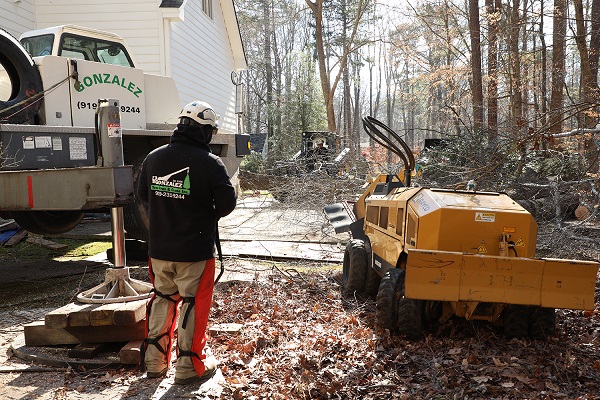 Tree Trimming Experts in Raleigh Gonzalez Tree Pros & Crane, Inc