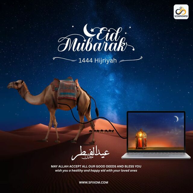 WhatsApp Image 2025-06-06 at 1.31.38 PM Picture Box